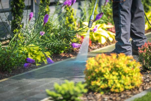 Best House Exterior Washing  in Gnadenhutten, OH